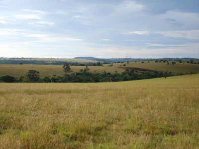 Crise no Estreito de Ormuz Ameaça Produção Agropecuária em Goiás