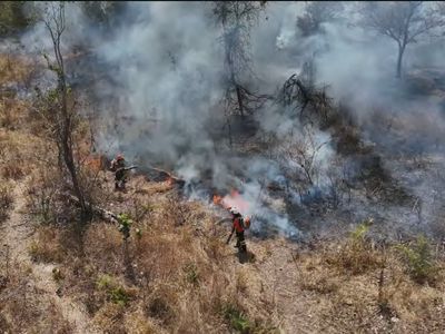 Incêndio ameaça Parque Estadual da Serra Dourada há quatro dias