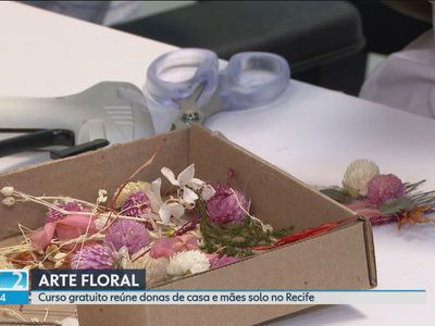 Telejornais NE2 divulgam edição de sábado com notícias de Pernambuco