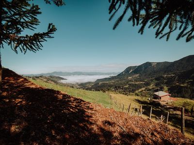 Quadrilha é Presa por Furto de Café