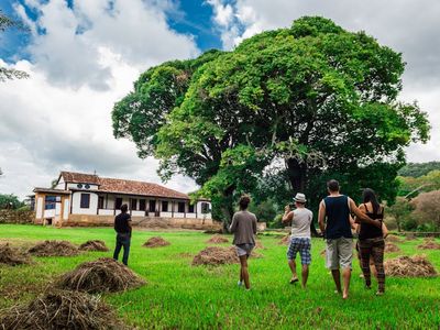 Agricultura Familiar em Goiânia
