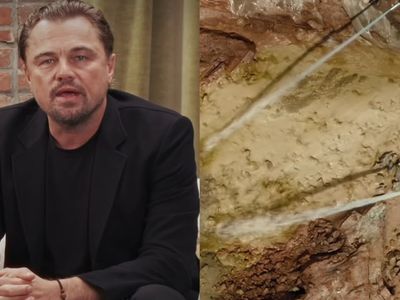 Leonardo DiCaprio denuncia projeto da maior mina a céu aberto de ouro no Pará