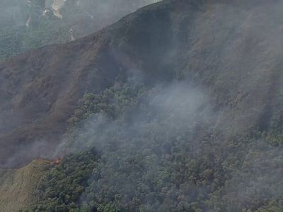 Incêndio atinge Morro do Pires em Nova Lima e mobiliza bombeiros e brigadistas