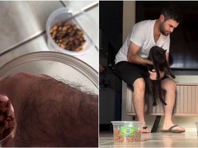 Gato Milu viraliza ao 'prever' vitória do Brasil na Copa; torcedores de Goiânia se encantam