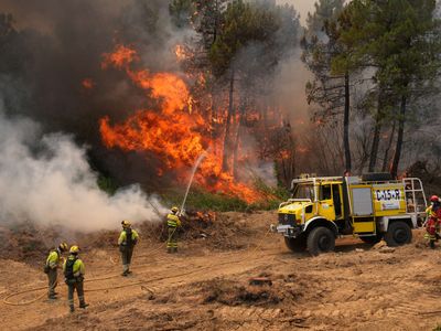 Incêndios na França e Espanha deslocam 300 mil pessoas em meio a onda de calor