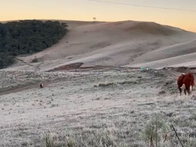 RS pode amanhecer com geada e temperatura abaixo de zero neste fim de semana