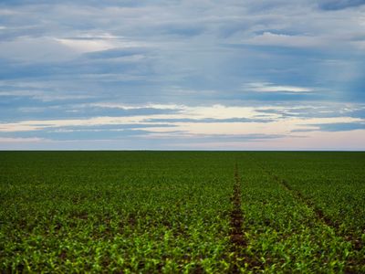 Reciprocidade comercial: governo avança contra tarifas dos EUA e agronegócio goiano monitora desdobramentos