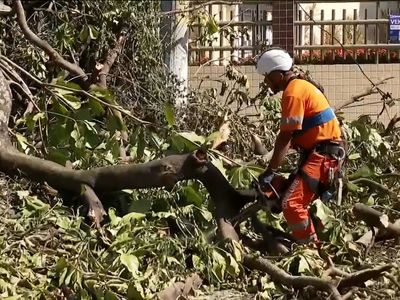 Ventania no Rio deixa 40 mil imóveis sem energia elétrica