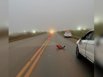 Homem morre atropelado por caminhonete na BR-354 em Rio Paranaíba