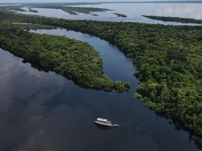 Bananada em Goiânia: BaianaSystem Encerra Evento