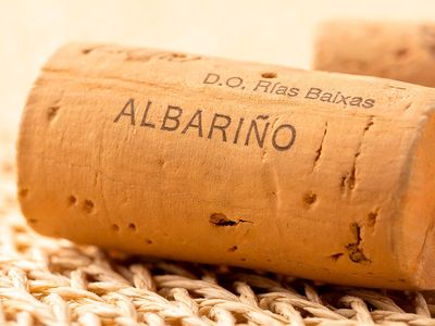 Vinhos Albariño de Rías Baixas chegam às adegas de Goiânia com perfil fresco e gastronômico