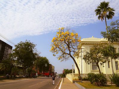 Partido Novo e PSDB definem candidatos aos governos do DF e do Acre