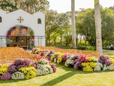 Crisântemo sem perfume forte ganha espaço em casamentos e festas