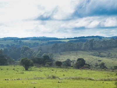Clima e vegetação de Goiás: o que define o bioma do estado