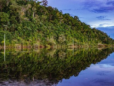 Homem é morto a facadas no Amazonas