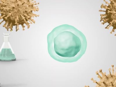 Saúde estuda incluir terapia CAR-T humanizada no SUS para tratar câncer