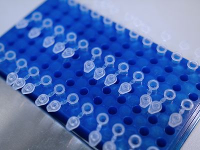 Coleta de DNA em 23 cidades de Goiás vai ajudar buscas por desaparecidos