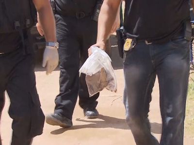Canibais de Garanhuns: caso que chocou Brasil levanta alerta sobre fiscalização de feiras em Goiânia